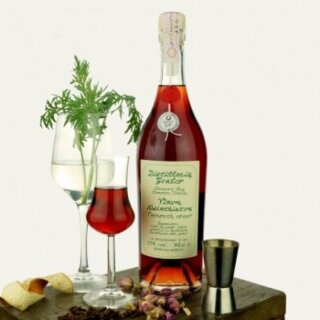 Gualco Vinum Abssinthiatum rosso Vermuth - 0,75 l -